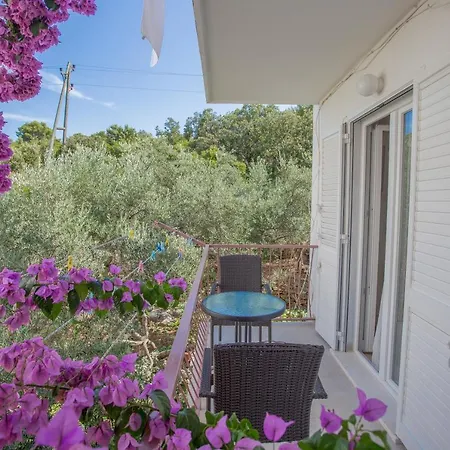 Guest house Sanja