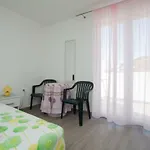 Sanja 3*